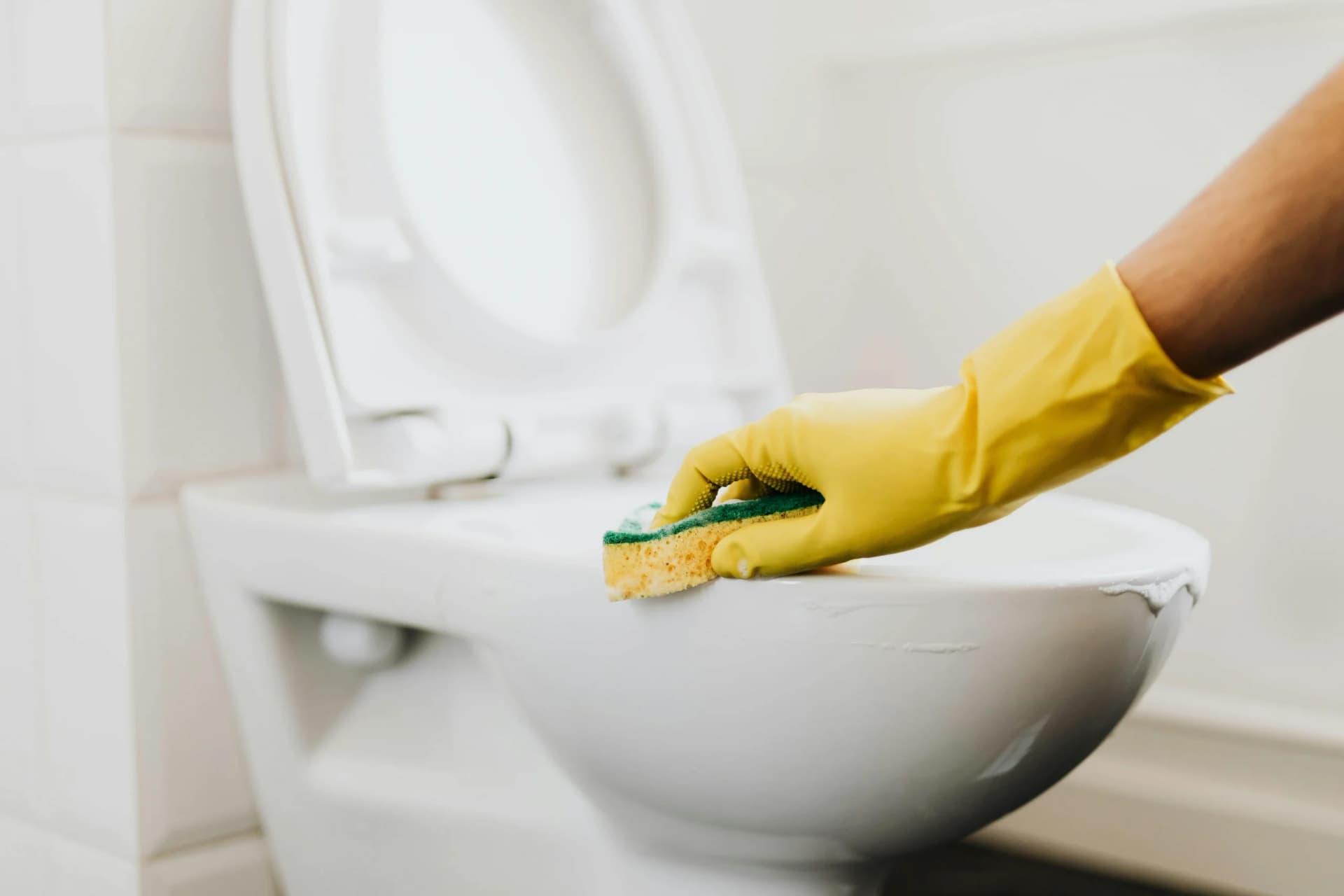 DISE Cleaning als Experte für Gebäudepflege
