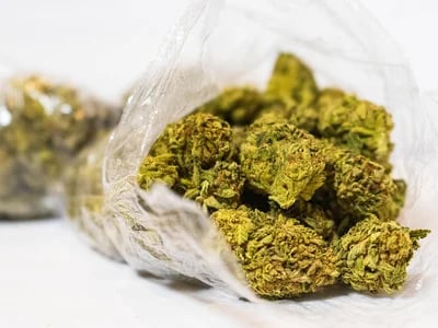 CBD Blüten auf Rechnung – Bestelle jetzt und zahle später für deine Hanfblüten