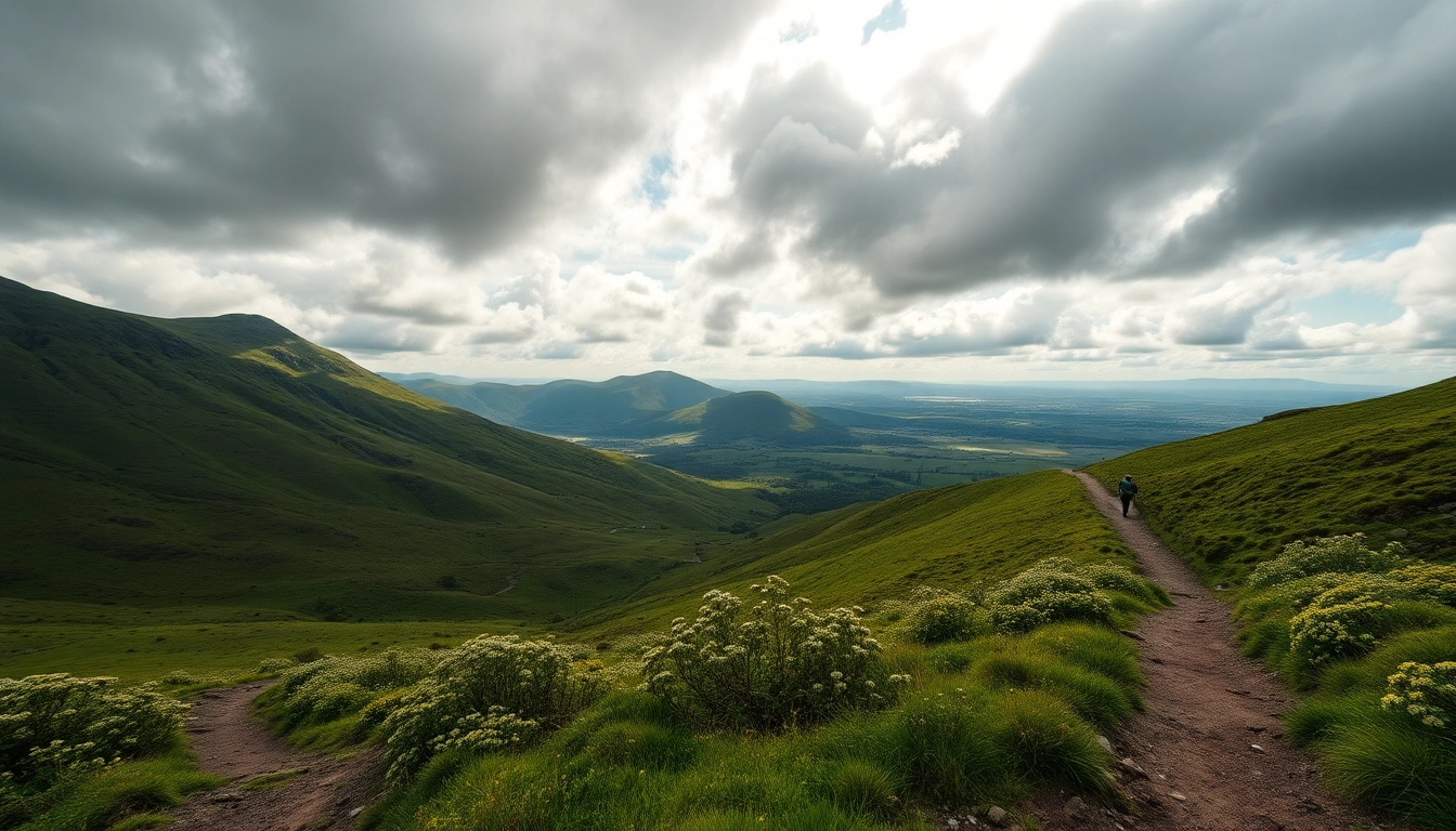 Wanderer auf dem Wicklow Way Irland, umgeben von üppiger Natur und atemberaubender Landschaft.