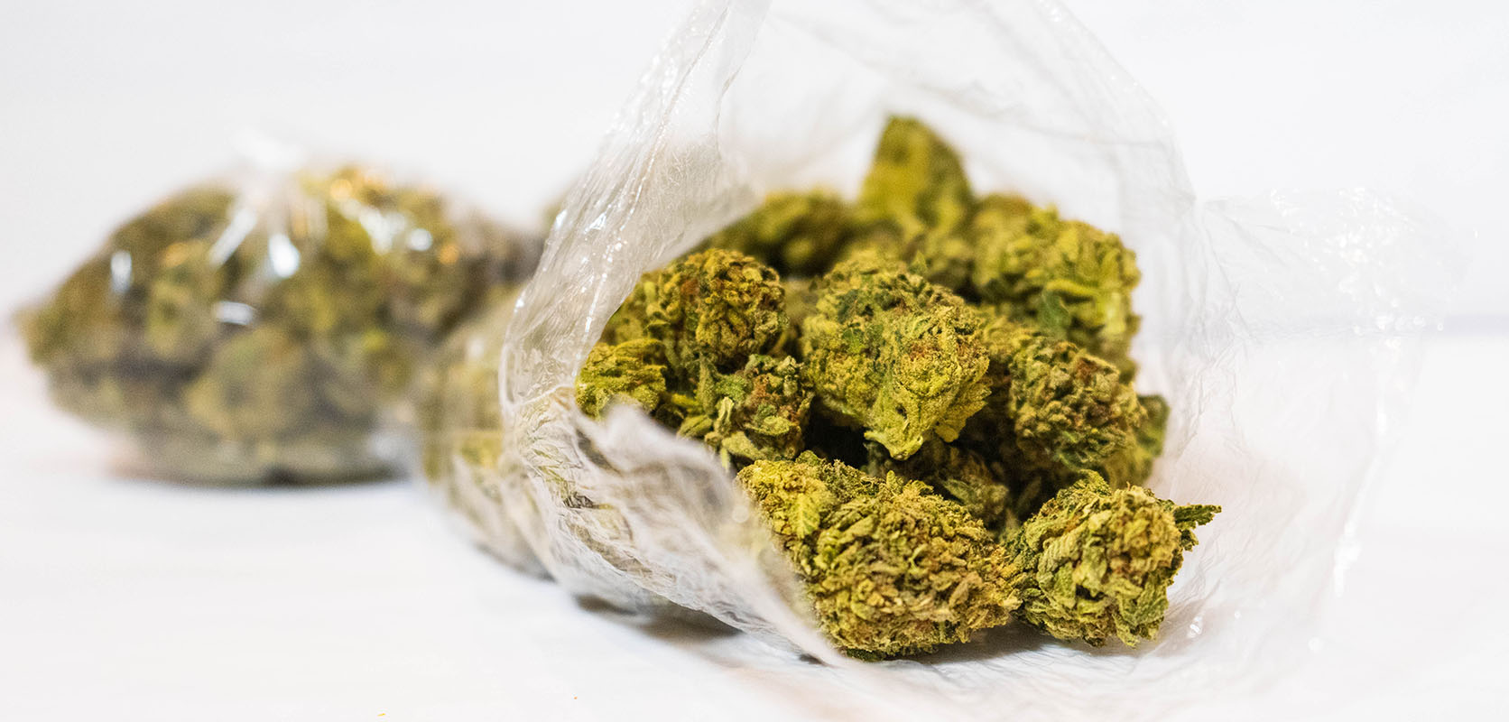 CBD Blüten auf Rechnung – Bestelle jetzt und zahle später für deine Hanfblüten